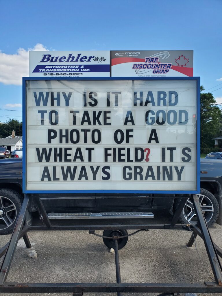 sign wheat field